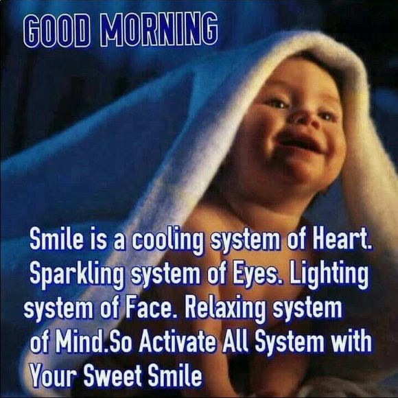 Meet your Posher, Noor - Picture 1 of 1